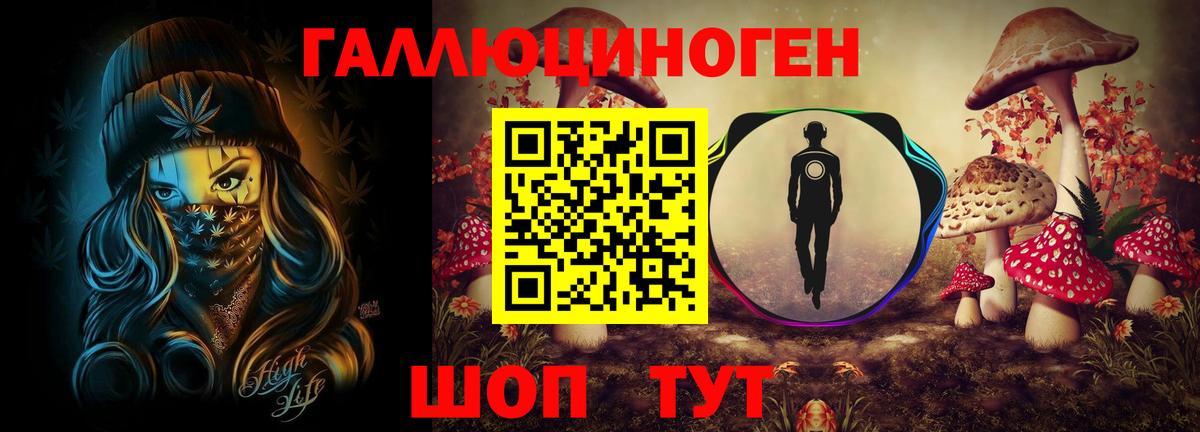 Коркино  Псилоцибиновые грибы Psilocybe  Вход с VPN 